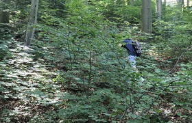 Geocaching 2019